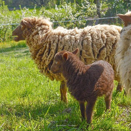 Agriturismo Vezzano Chiusi della Verna Εξωτερικό φωτογραφία