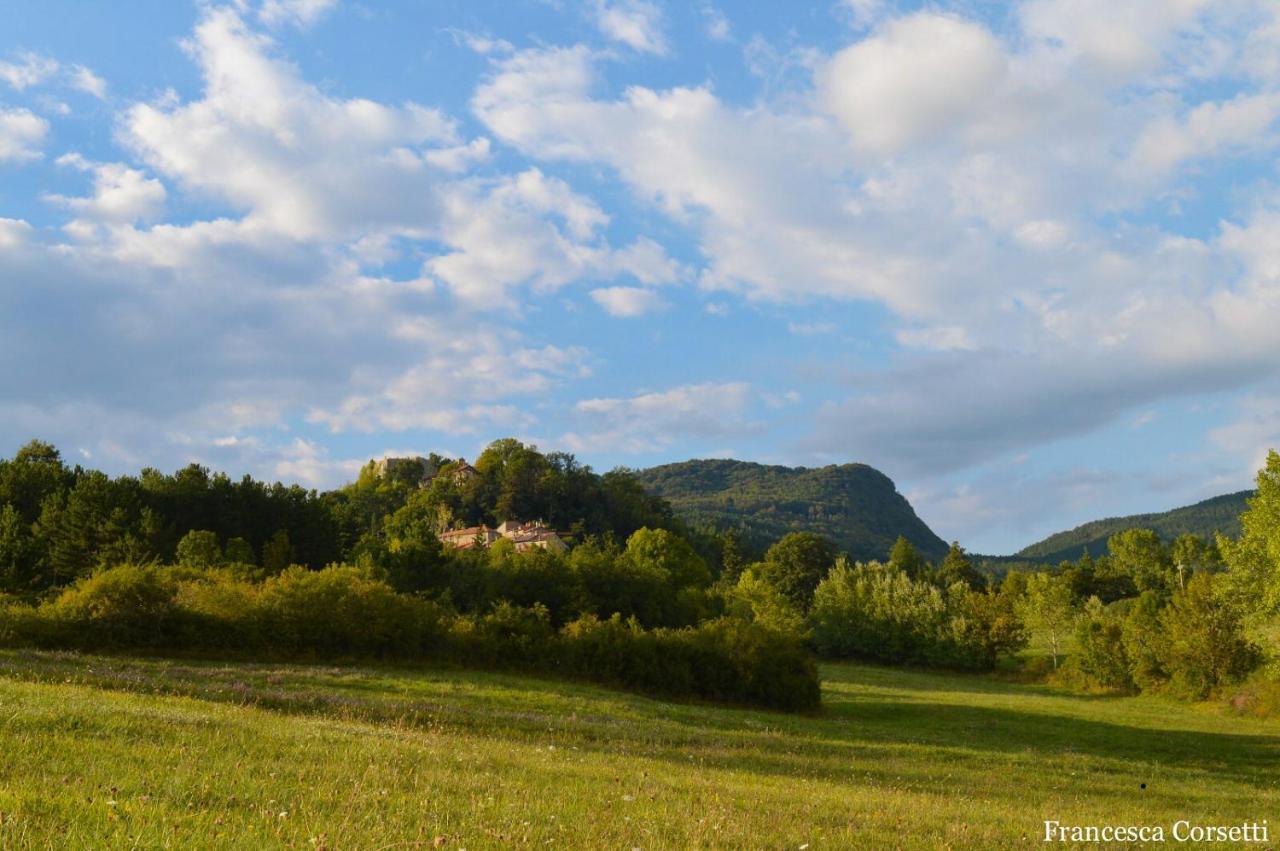 Agriturismo Vezzano Chiusi della Verna Εξωτερικό φωτογραφία