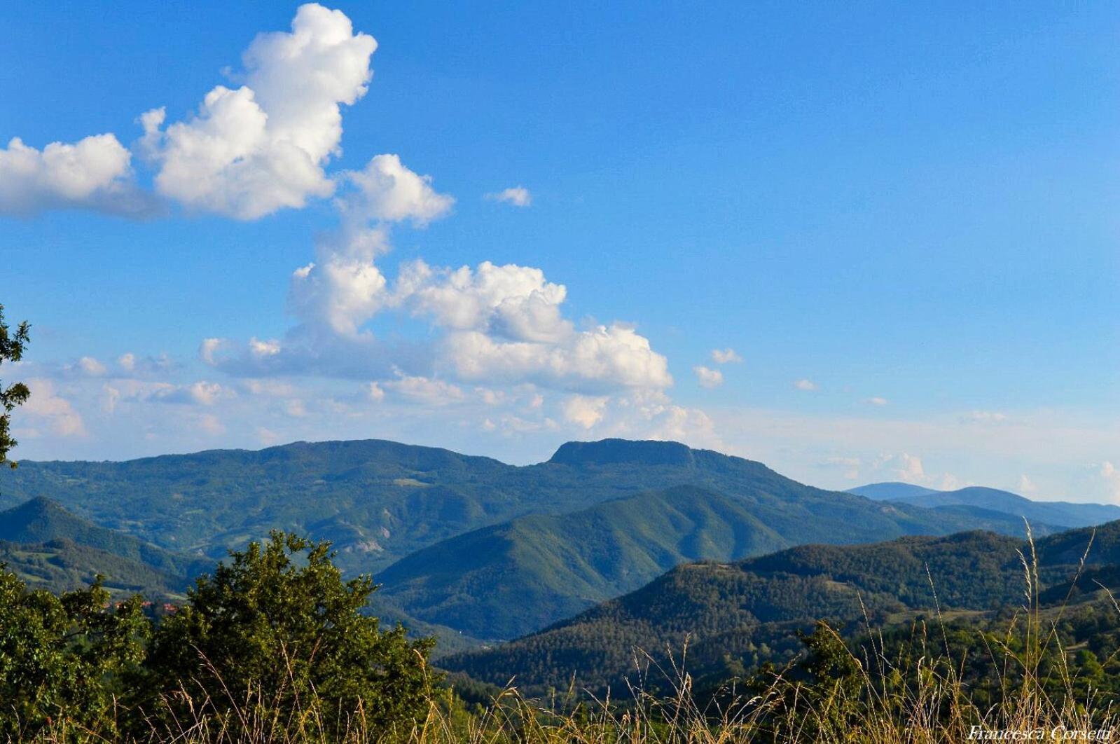Agriturismo Vezzano Chiusi della Verna Εξωτερικό φωτογραφία