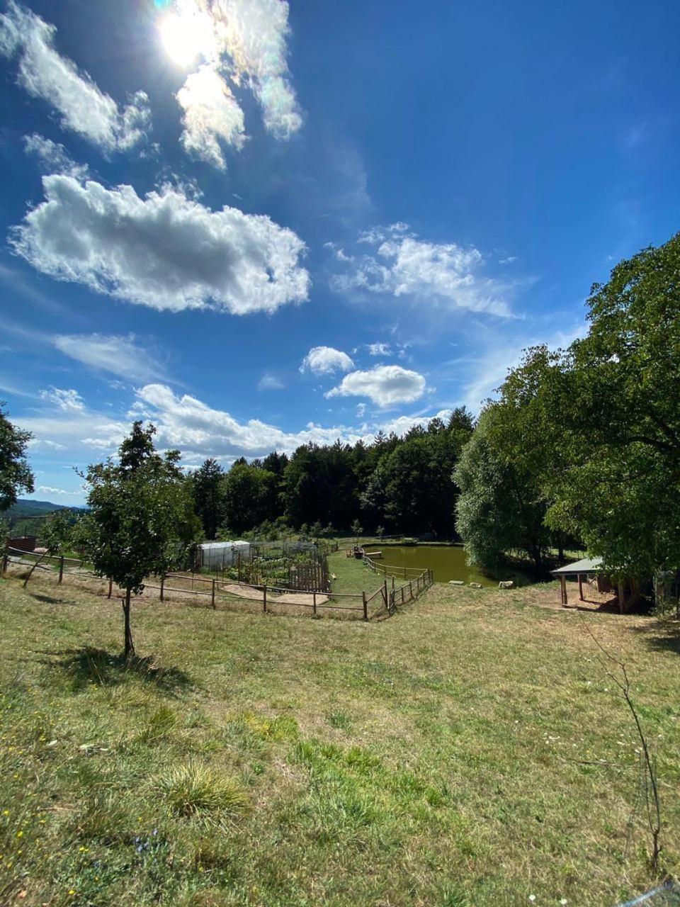 Agriturismo Vezzano Chiusi della Verna Εξωτερικό φωτογραφία