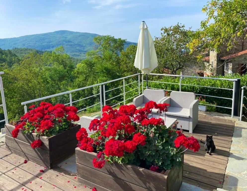 Agriturismo Vezzano Chiusi della Verna Εξωτερικό φωτογραφία